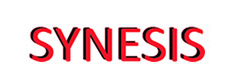 synesis logo